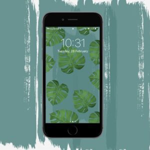 Monstera Phone Background Download