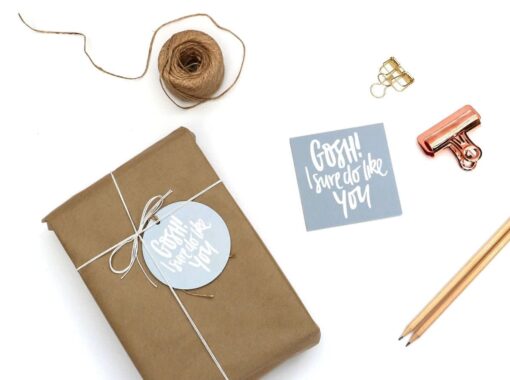 Gosh I Like You Gift Tag + Card