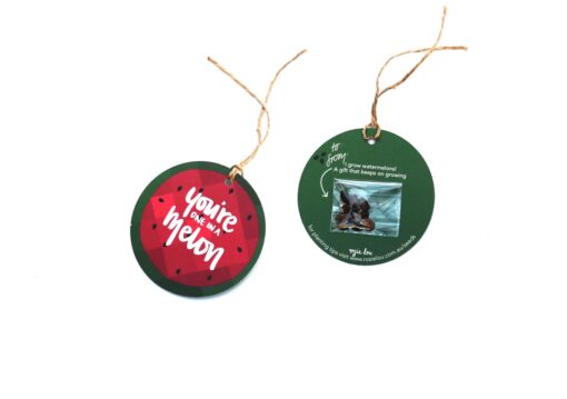 Melon Seeded Gift Tag