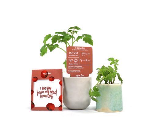 Love You From my Head to my Toes Gift Pack of Seeds - Image 3