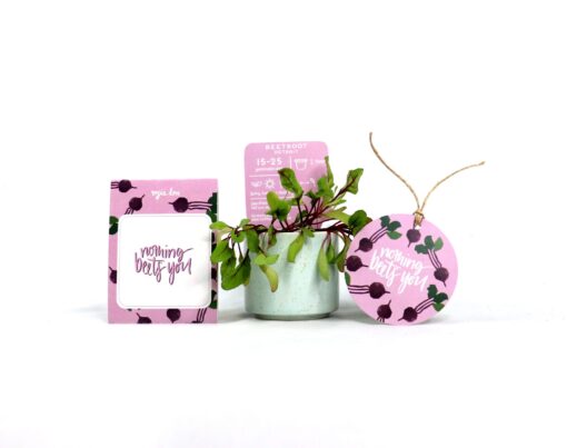 Nothing Beets You Gift Pack of Seeds - Image 4