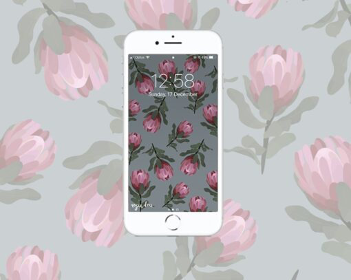 Protea Background Rosie Lou