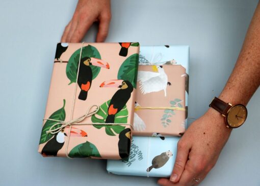 Gift Wrap | Toucan Tango | 3pk - Image 2