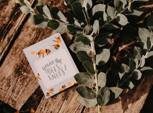 Bees Knees Gift Pack of Seeds | Bee Flower Mix - Image 2