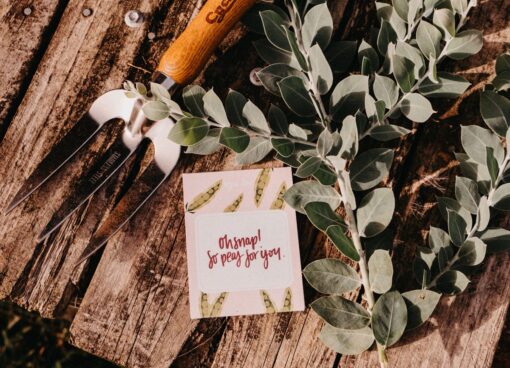 Oh Snap! So Peas Gift Pack of Seeds - Image 2