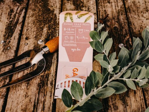 Oh Snap! So Peas Gift Pack of Seeds - Image 3