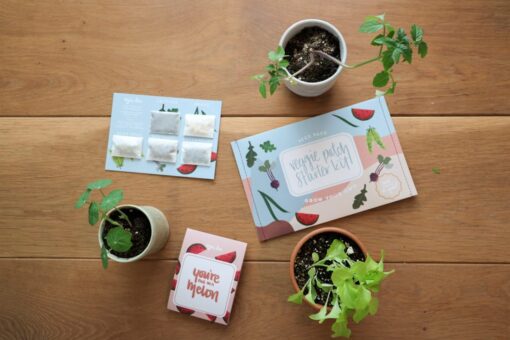 Veggie Patch Starter Kit
