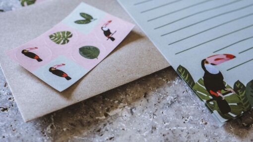 Writing Set | Toucan Tango - Image 3