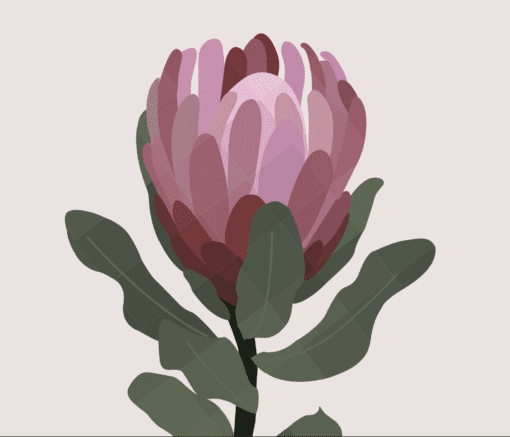 Protea Round Gift Tag