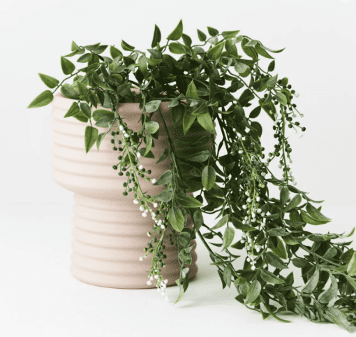 Pot - June - Image 13