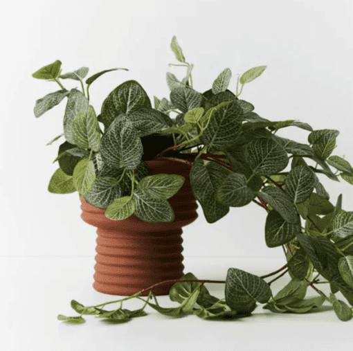 Pot - June - Image 22