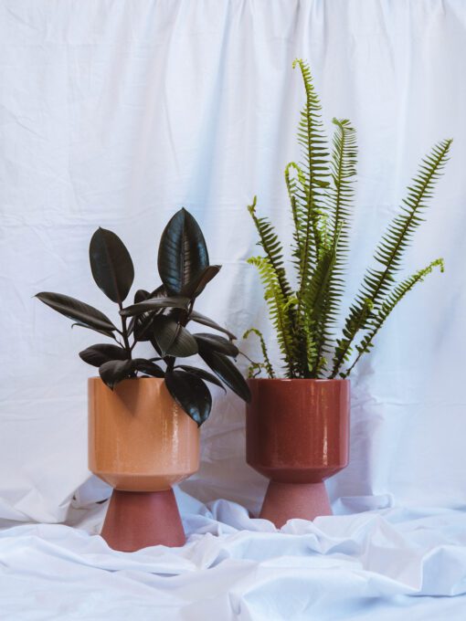 Pot - Sylvia - Image 2