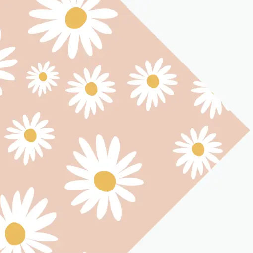 Gift Wrap | Dozens of Daisies - Coral | 3pk