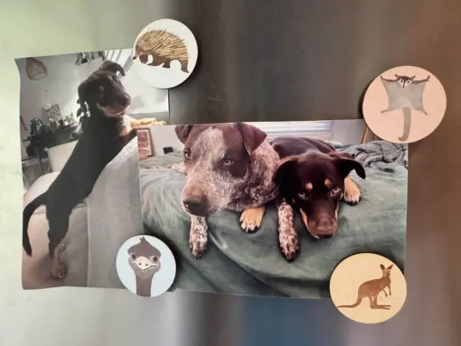 Magnets - Aussie Fridge Friends | 8 pack - Image 3