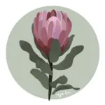 Protea +$3.00