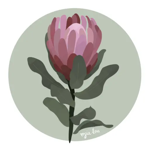 Sticker | 6 pack - Image 7