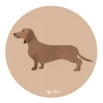 Dog +$3.00