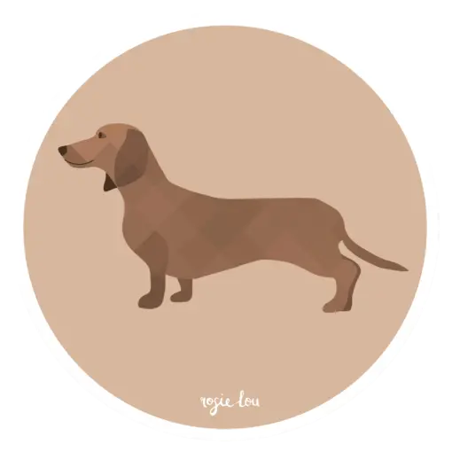 Sticker | 6 pack - Image 4
