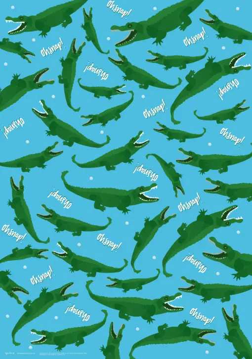 Gift Wrap | Oh Snap! Wrap | 3pk